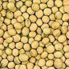 SELL SOYBEAN