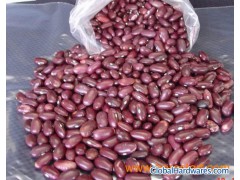 Dark Red Kidney Beans-H.P.S 250pcs/100g图1