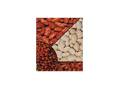 Red Kidney Bean and Peanut Kernel图1