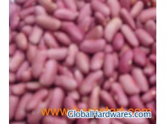 light red kidney bean图1