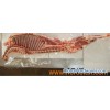 Lamb 6-Way Cut