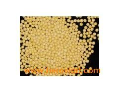 Organic Soybean 07图1