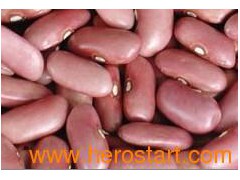 long sharp red light kidney bean图1