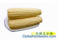 Corn cob图1
