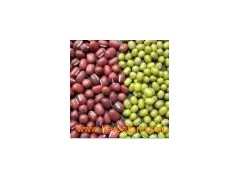 Green_Mung_Bean 7图1