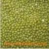 Green_Mung_Bean