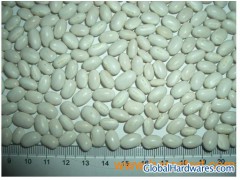 White Kidney Bean Japanese Type (JWKB) of Vigna Beans图1