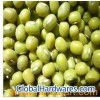 New_Crop_Green_Mung_Bean_China