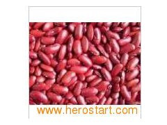 Red Kidney Beans (009图1