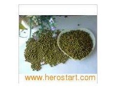 Mung Beans 0101图1