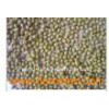 High_Quality_Sprouted_Green_Mung_Beans_New_Crop