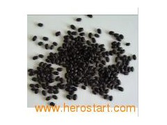 Small Black Beans (007)图1