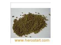 Mung Beans 0017图1