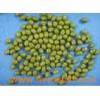Mung Beans (001)