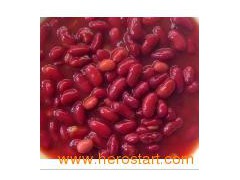 Canned Red Kidney Bean in Tomato Sauce图1