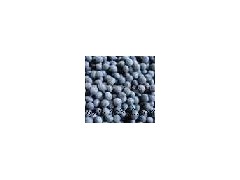Black Bean extract powder图1