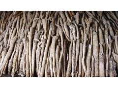 Eurycoma longifolia Jack powder图1