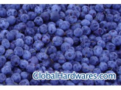 blueberry concentrate图1