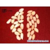 Hebei peanut