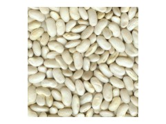 White Kidney Beans图1