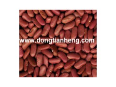 Light Red Kidney Beans图1