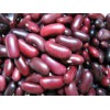 Red Kidney Bean