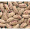 Light Speckled Kidney Bean 1