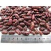 Red Speckle Kidney Bean (200-220, 220-240PCS/100G)