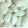 White Bean