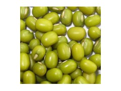 Green Beans图1