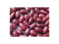 Small Red Beans图1