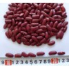 Dark Red Kidney Beans (002)
