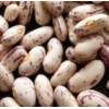 Light Speckled Kidney Beans