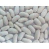 Medium White Kidney Beans -1