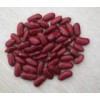 British Red Kidney Bean