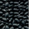 Black Bean (BB-001)