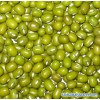 Mung Bean