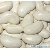 White Kidney Bean