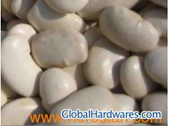 sell white kidney bean图1