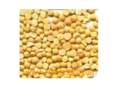 Yellow Split Pea 001图1