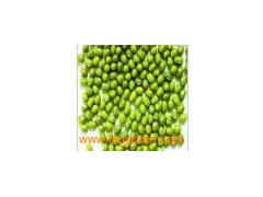 Mung_Bean1图1