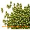 Green_Mung_Bean4
