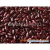 red kidney bean