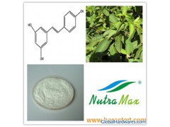 Giant Knotweed Extract(sales06@nutra-max.com)图1
