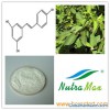 Giant Knotweed Extract(sales06@nutra-max.com)