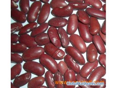 Dark Red Kidney Beans 01图1