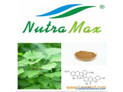 Ginkgo Biloba Extract 24%/6%/<1ppm(sales06@nutra-max.com)图1