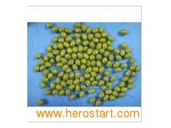 Mung Beans (0017)图1