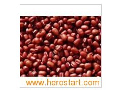 Small Red Kidney Beans (006)图1