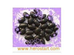 Small Black Beans (013)图1